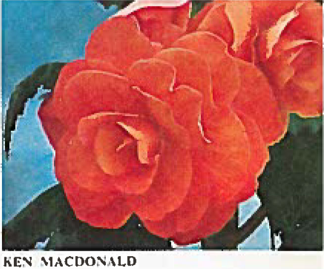B. ‘Ken MacDonald’